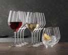Spiegelau - AUTHENTIS  - Stemware/Tumbler  Set (Set of 12)