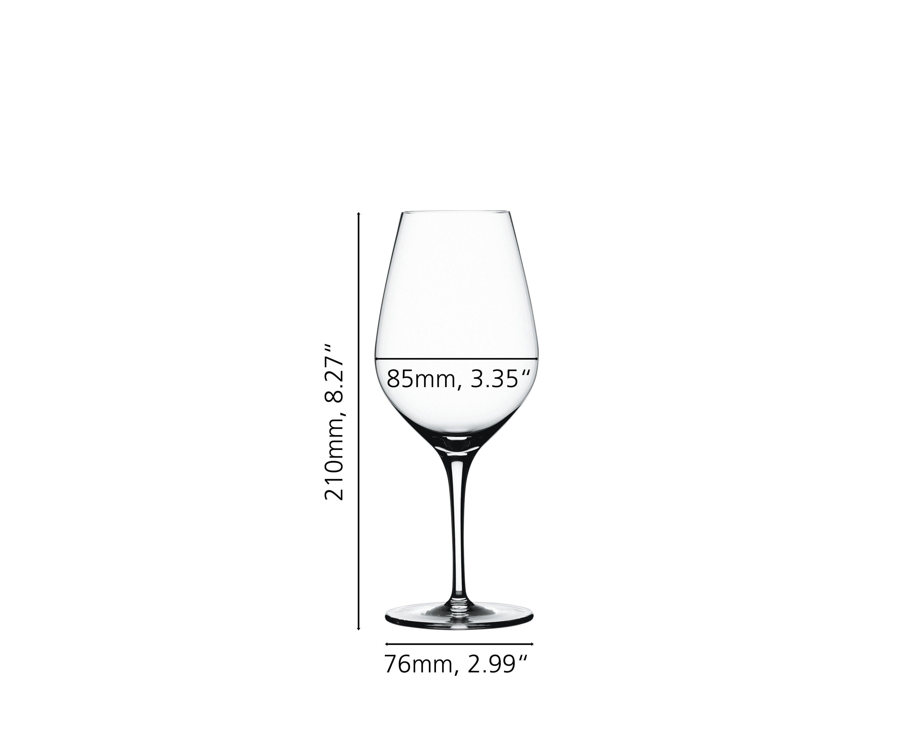 Spiegelau - AUTHENTIS - White Wine (Set of 4) | 14 oz