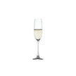 Spiegelau - Salute - Champagne (lot de 4) - 741 oz