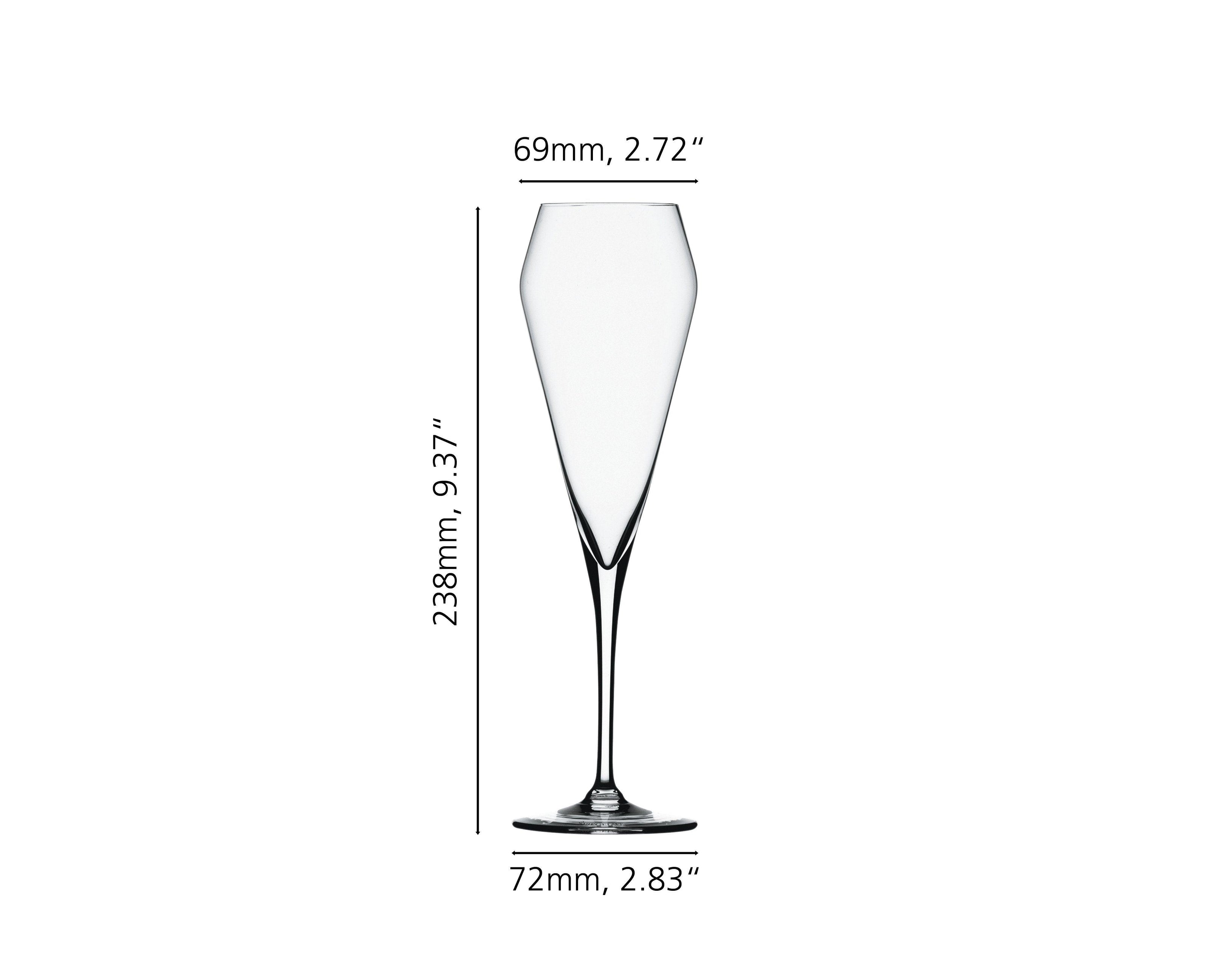 Spiegelau - Willsberger Anniversary - Champagne Glass (Set of 4) | 8.5 oz