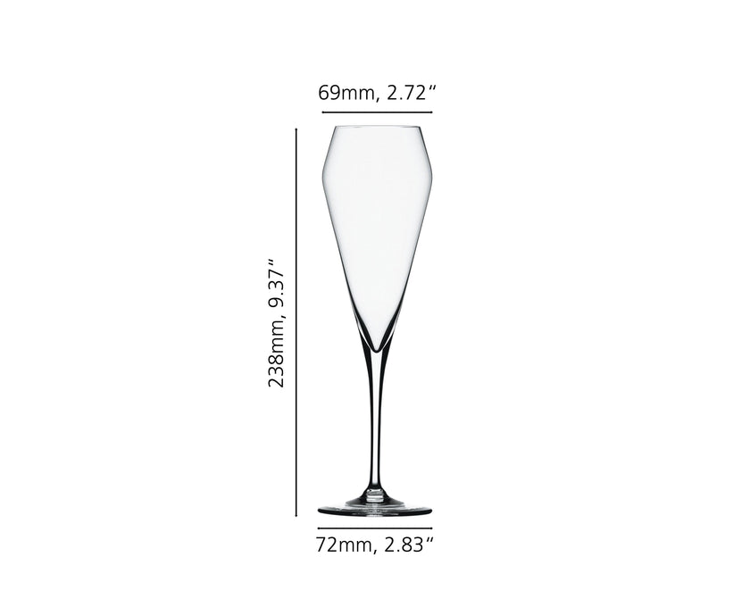 Spiegelau - Willsberger Anniversary - Champagne Glass (Set of 4) | 8.5 oz