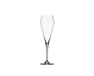 Spiegelau - Willsberger Anniversary - Champagne Glass (Set of 4) | 8.5 oz