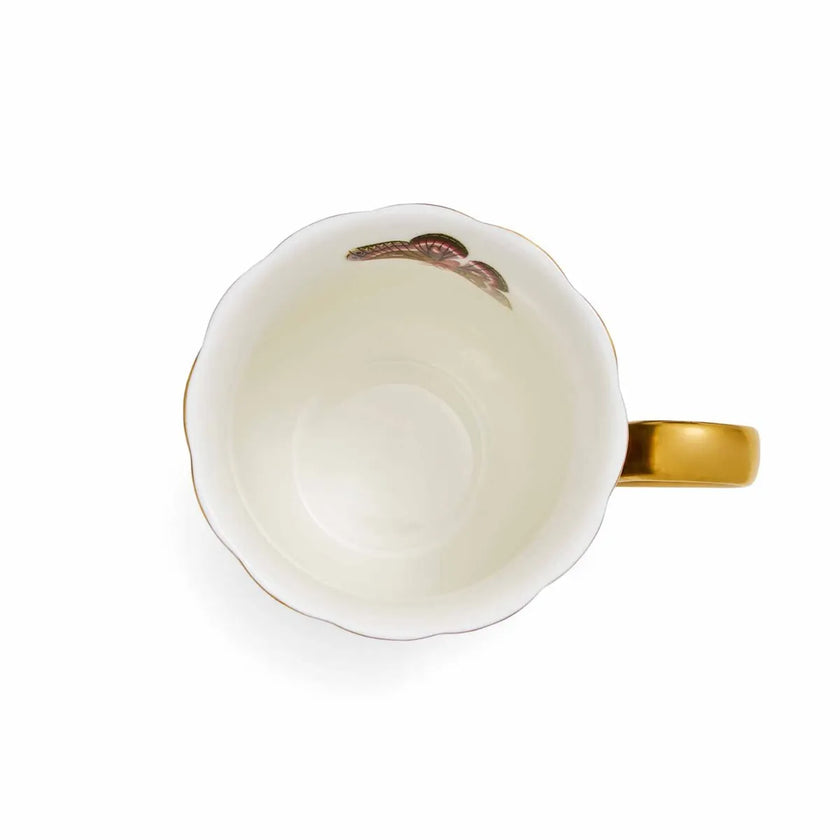 Spode - Creatures of Curiosity - Mug Black | 12 oz
