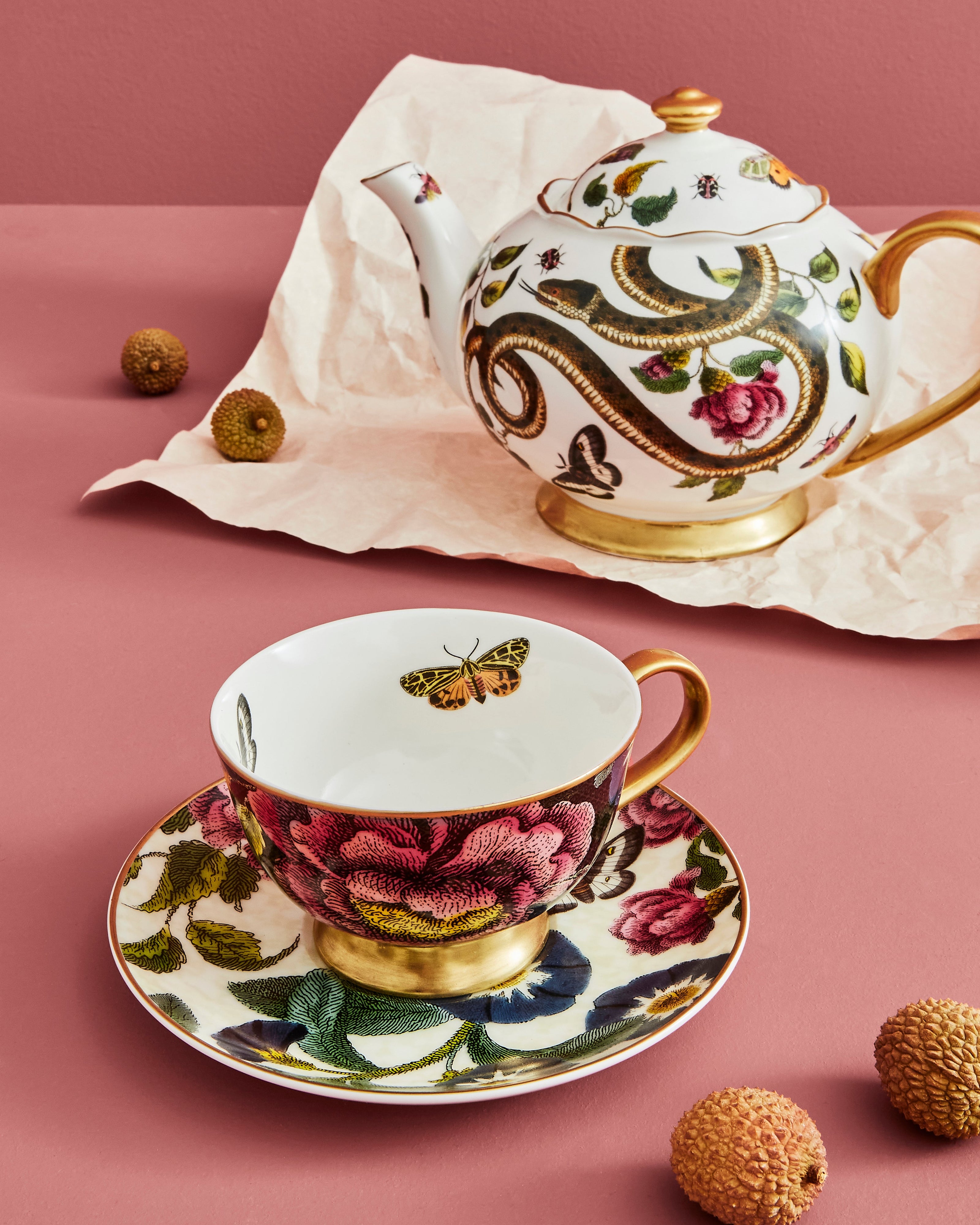 Spode - Creatures of Curiosity - Teacup & Saucer Coupe (Black/Cream)