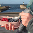 Light My Fire Swedish Spork Titanium