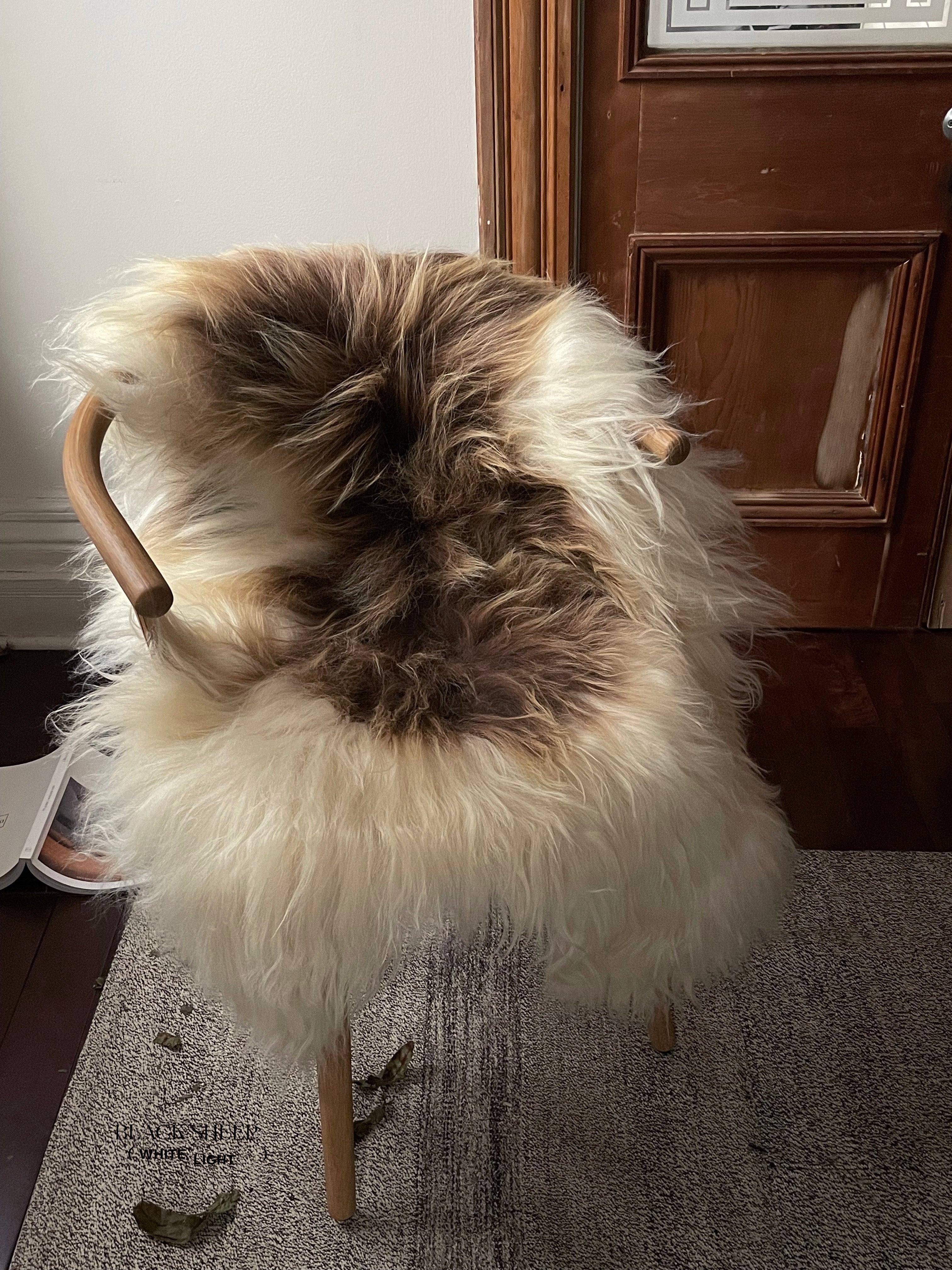 Brown Spotted Icelandic Sheepskin | Random