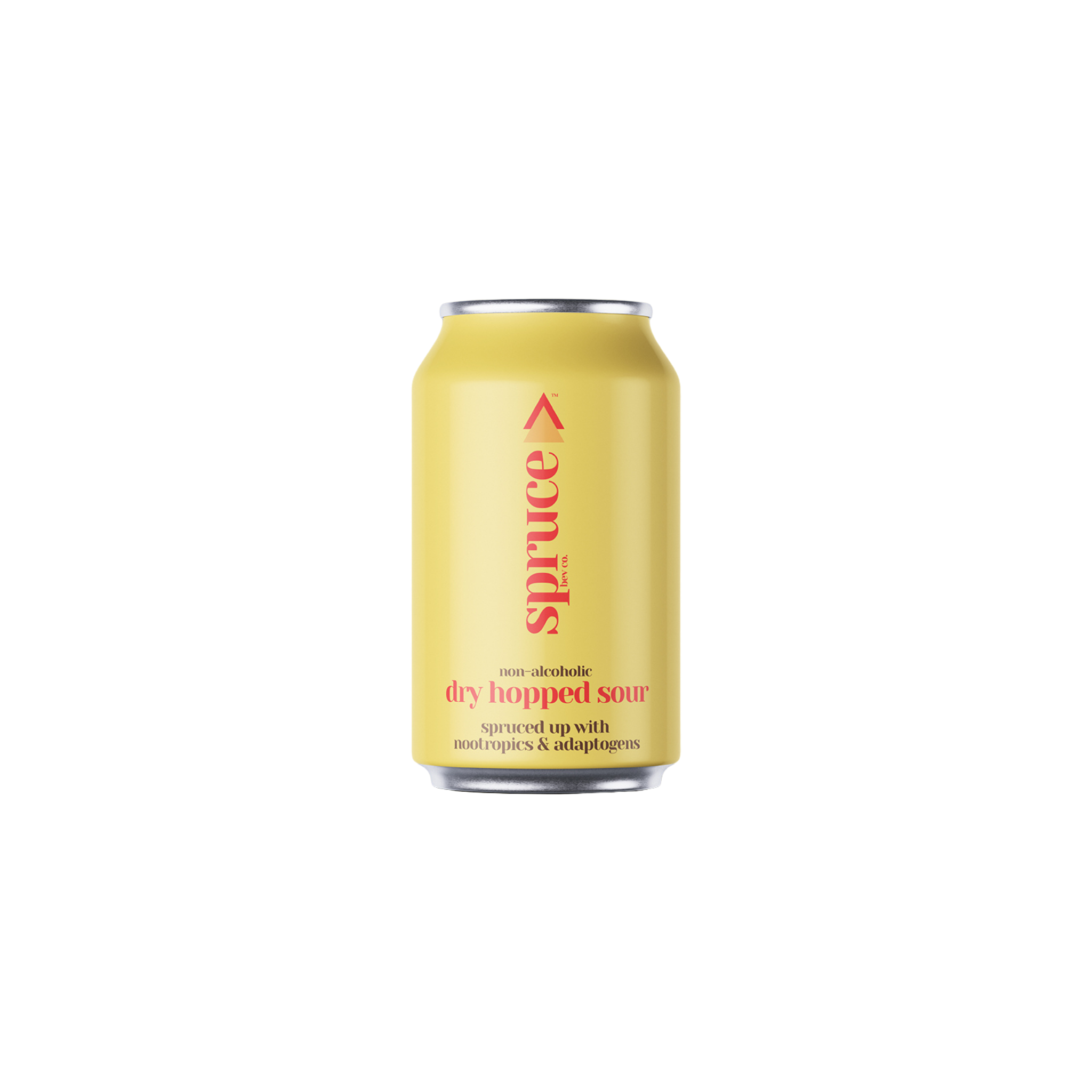 Spruce - Dry Hopped Sour