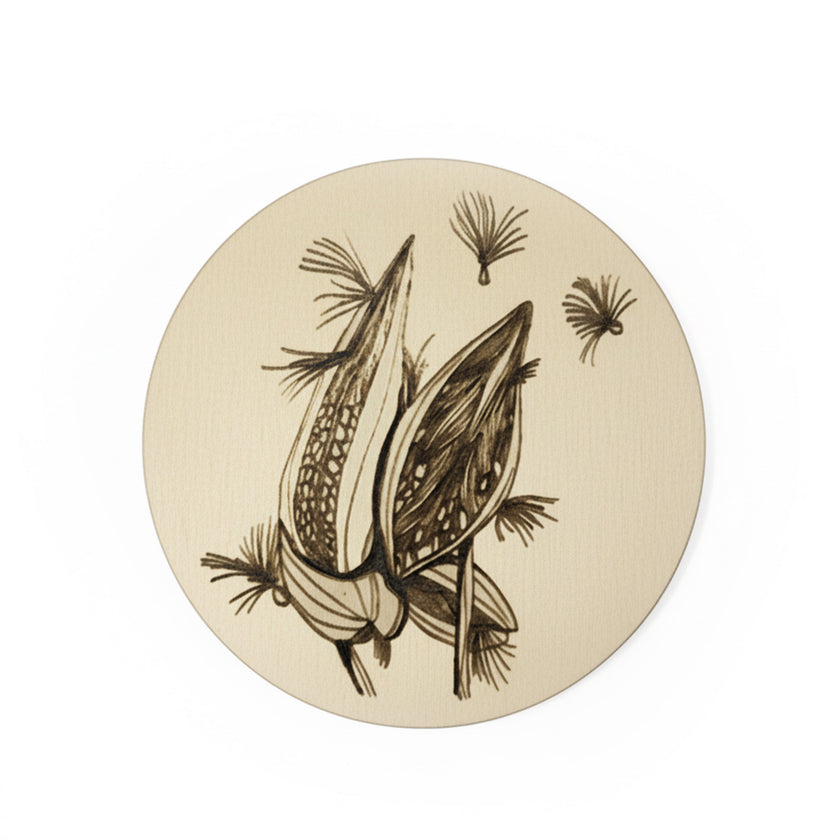Sous-verres en bois Asclépiade et Monarque - gravés au laser