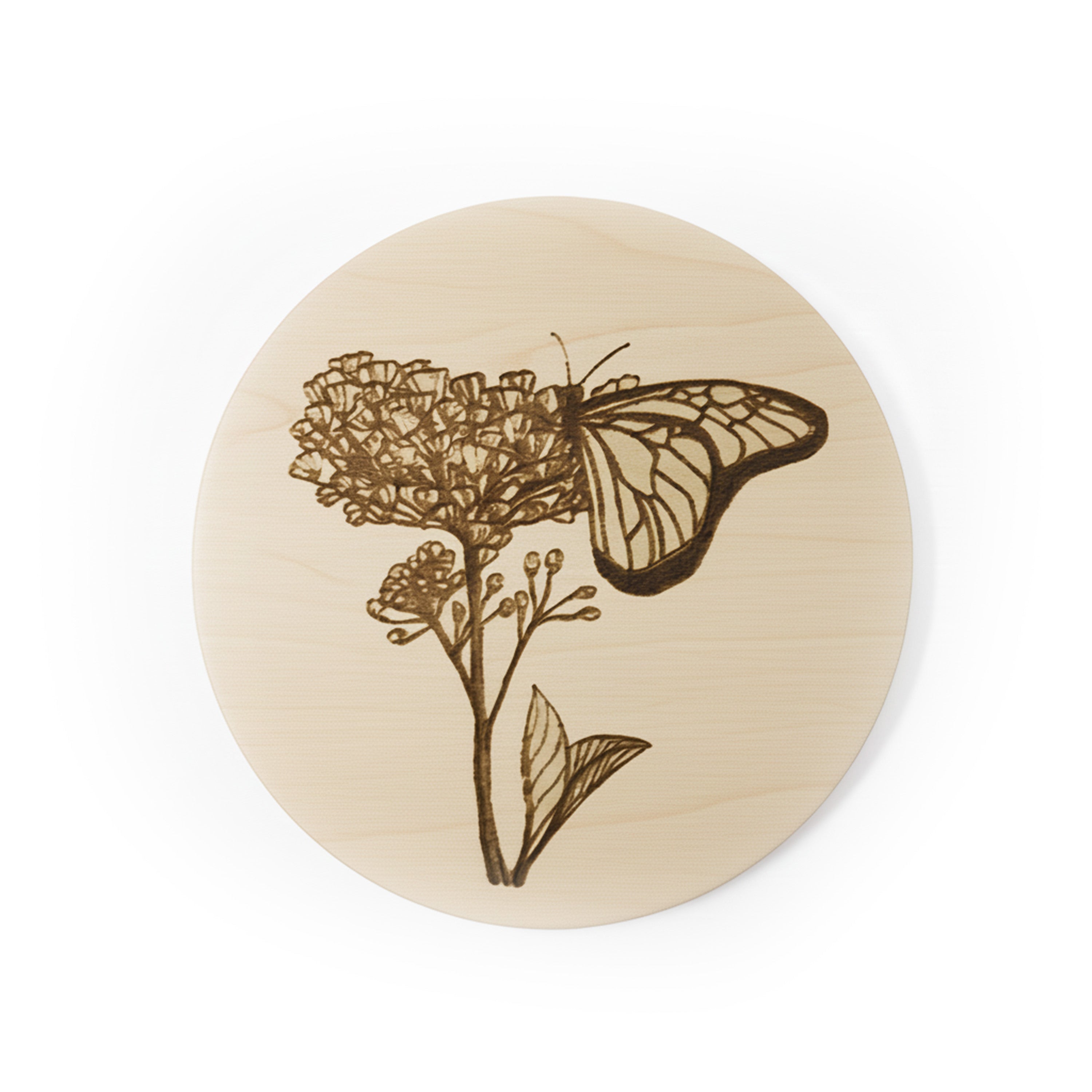 Sous-verres en bois Asclépiade et Monarque - gravés au laser