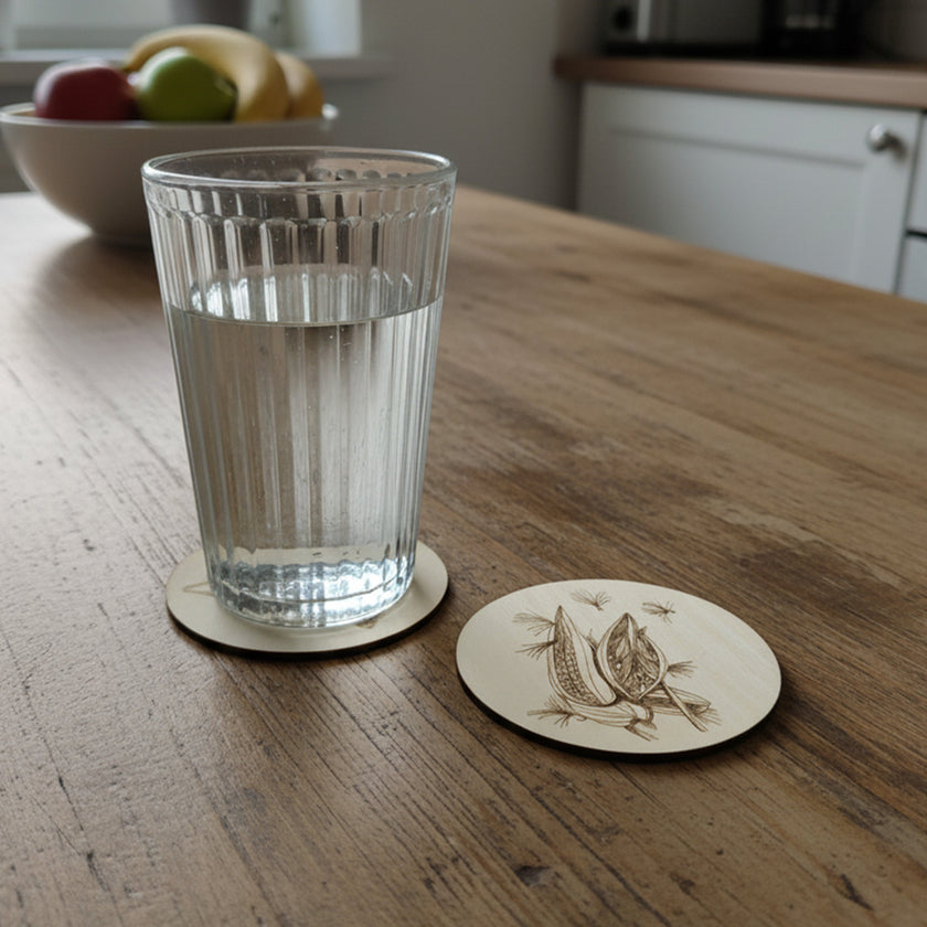 Sous-verres en bois Asclépiade et Monarque - gravés au laser