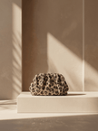 Starlight Glow Clutch- Wild Elegance