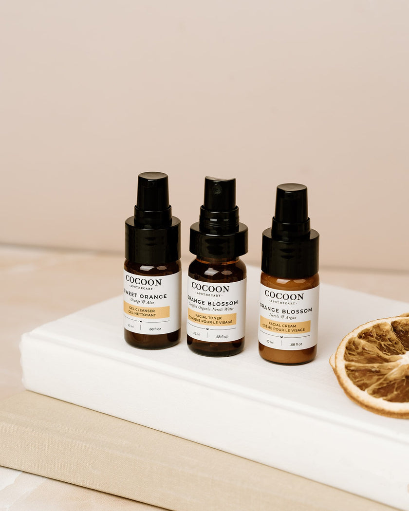 Kit de démarrage pour soins de la peau pour peaux grasses