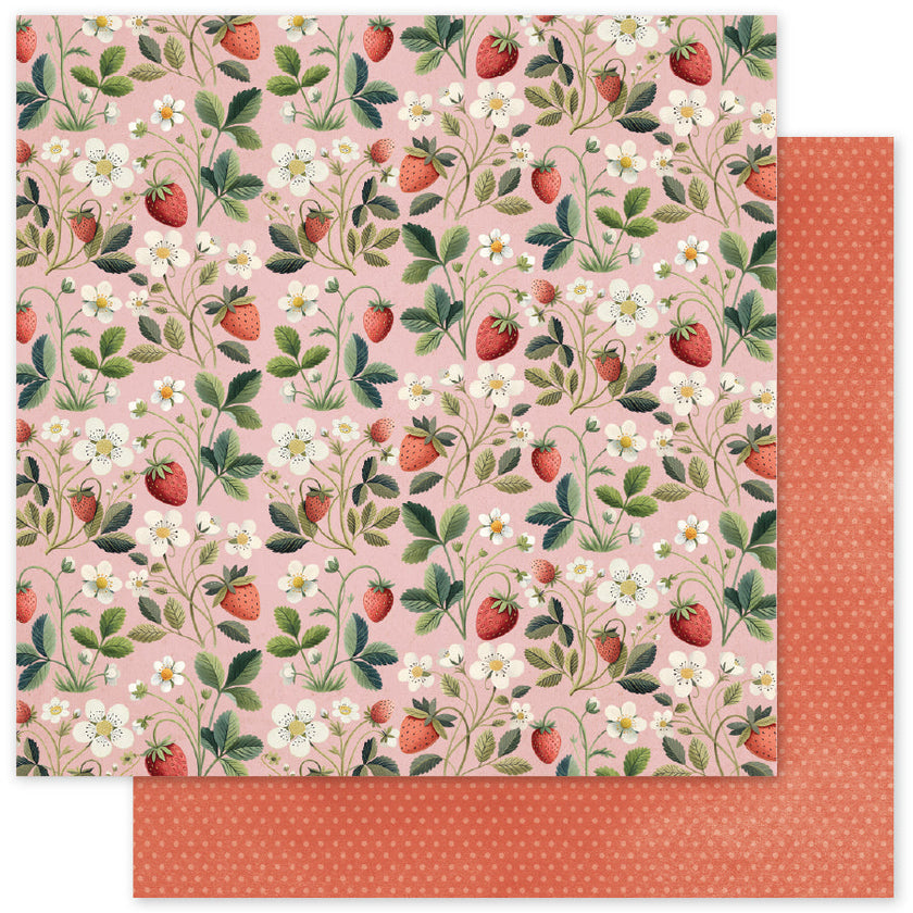 Strawberry Friends 12x12 Paper Collection 34860