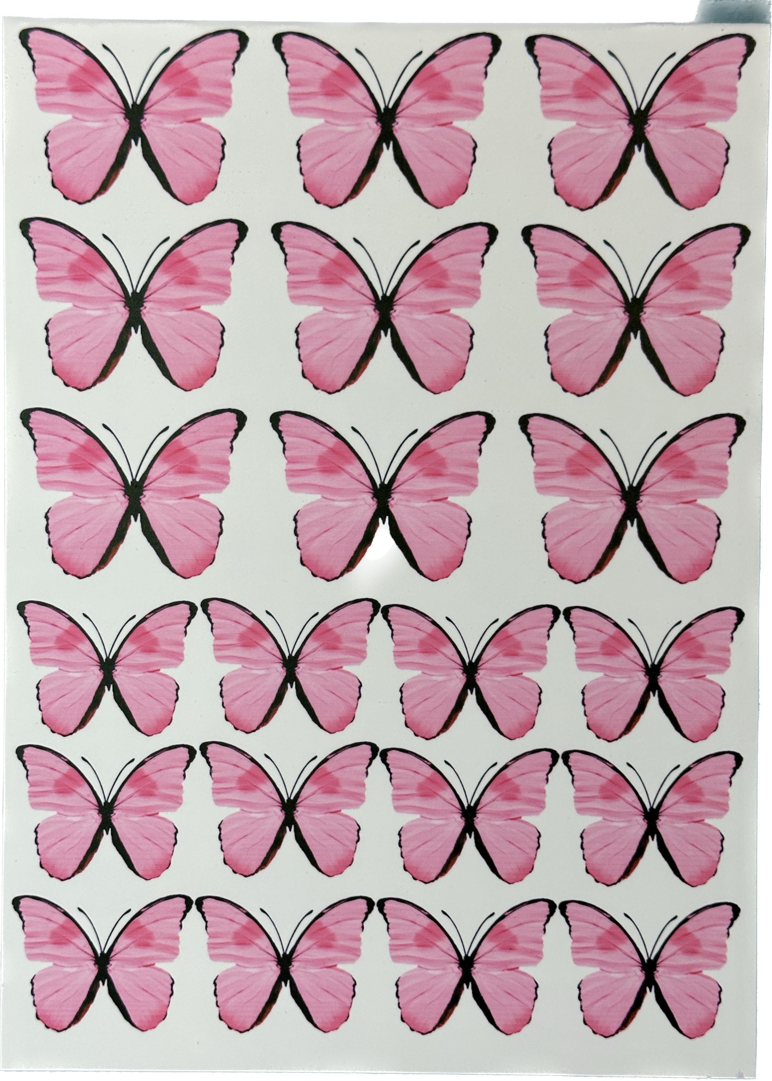 Edible Butterflies Cake Decorations