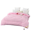 Summer Blanket Thickened Silk Floss Winter Duvet Insert