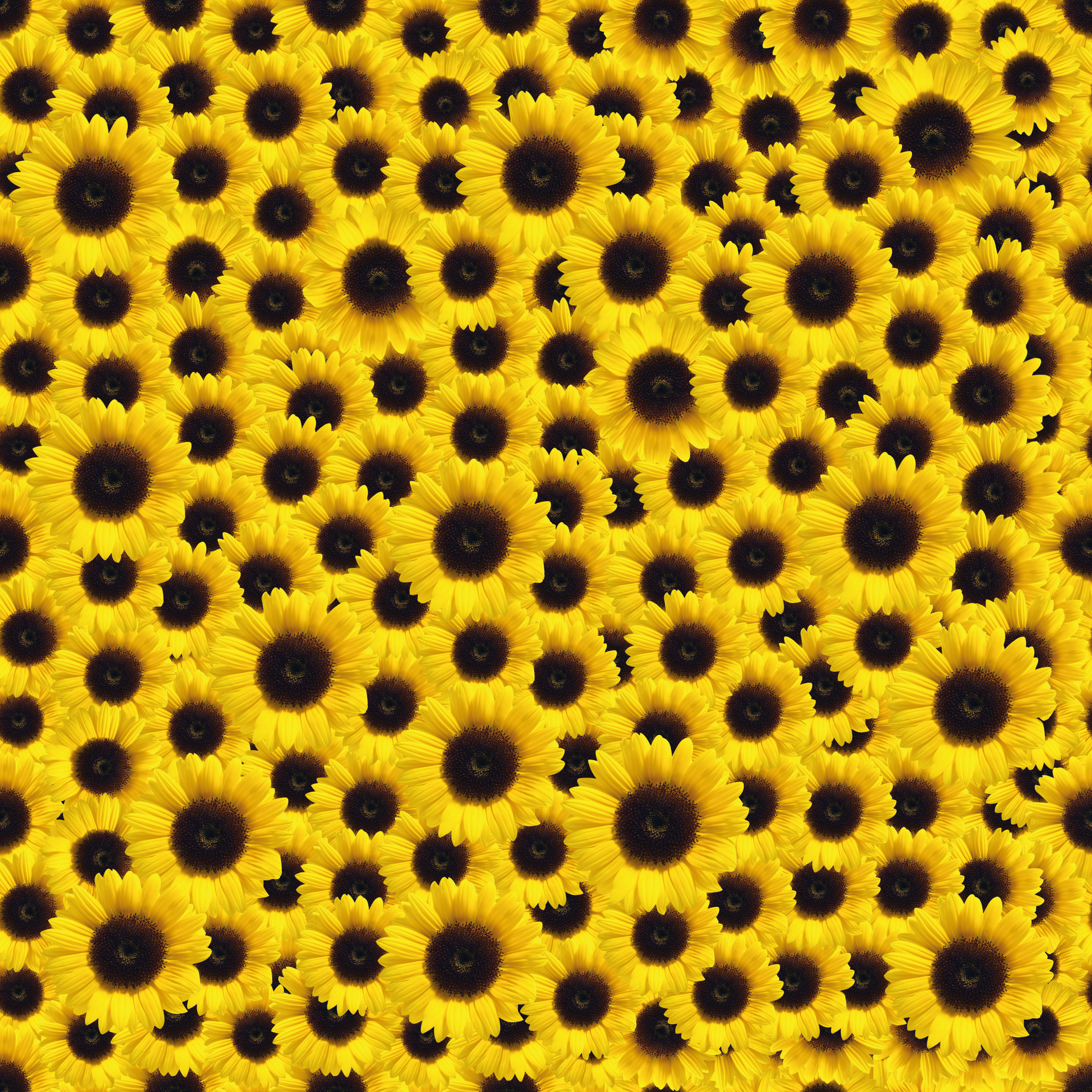 Suntastic Yellow Sunflower Pattern Adhesive Vinyl