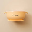 Silicone Bowl with Lid