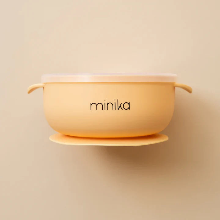 Silicone Bowl with Lid