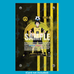 Monkey.D.Luffy (BVB x One Piece Campaign) Promo (Ungraded) Display Case