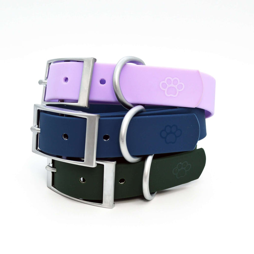 Dog Walk Combo: Collar, Leash, Dog Tag Set