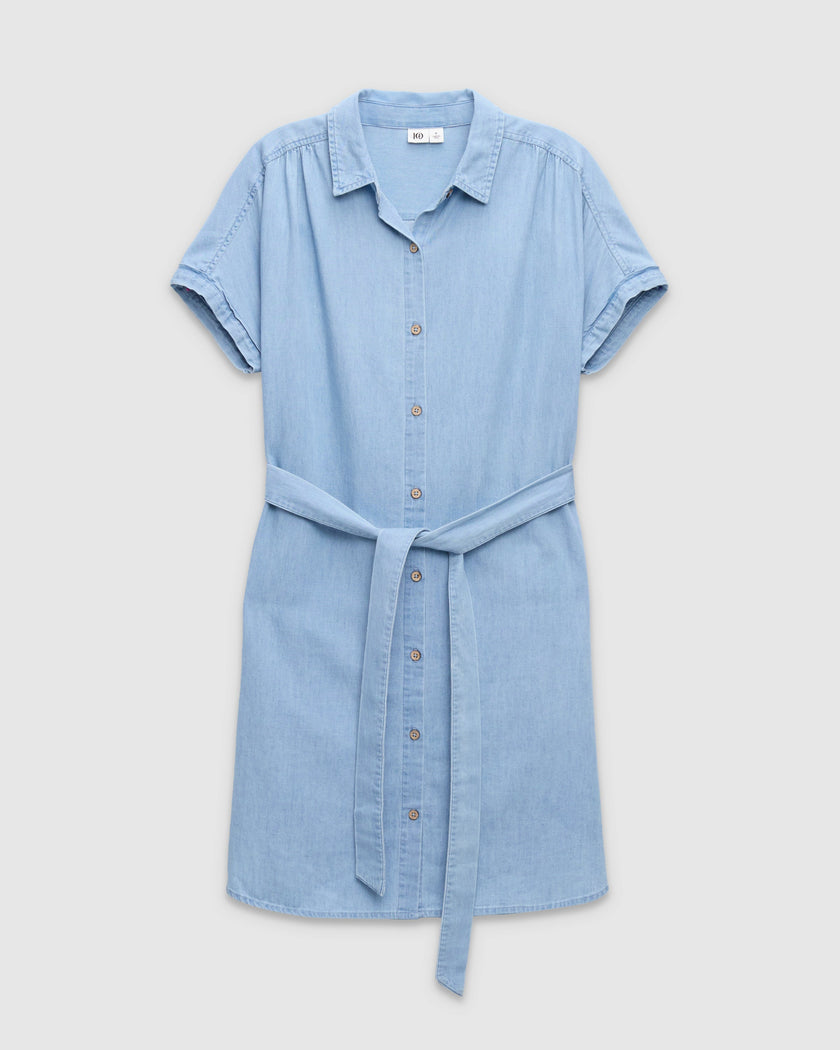 Denim Tern Dress