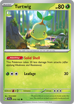 Turtwig 010/162