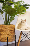 Tera Monstera Artificial Potted Plant