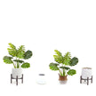 Tera Monstera Artificial Potted Plant