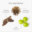 Spray épaississant pour cheveux Forest Essentials au Bhringraj et au Shikakai