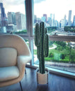 Tito Artificial Cactus Potted Plant 41''