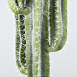 Tito Artificial Cactus Potted Plant 41''