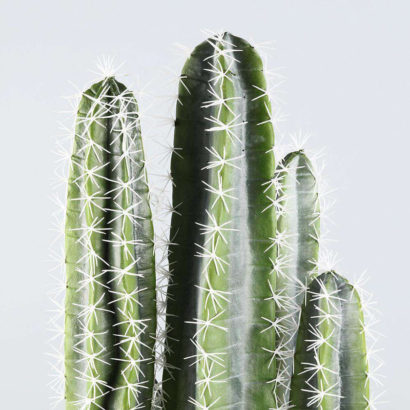 Tito Artificial Cactus Potted Plant 41''