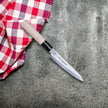 Four piece Knife Set - Made in Japan