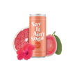 Say it Ain't Soda - Trip to the Tropics