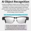 TUTT GS11 AI Glasses | HD Camera + AI Integration & Intelligent Object Recognition | Replaceable with Prescription Lenses