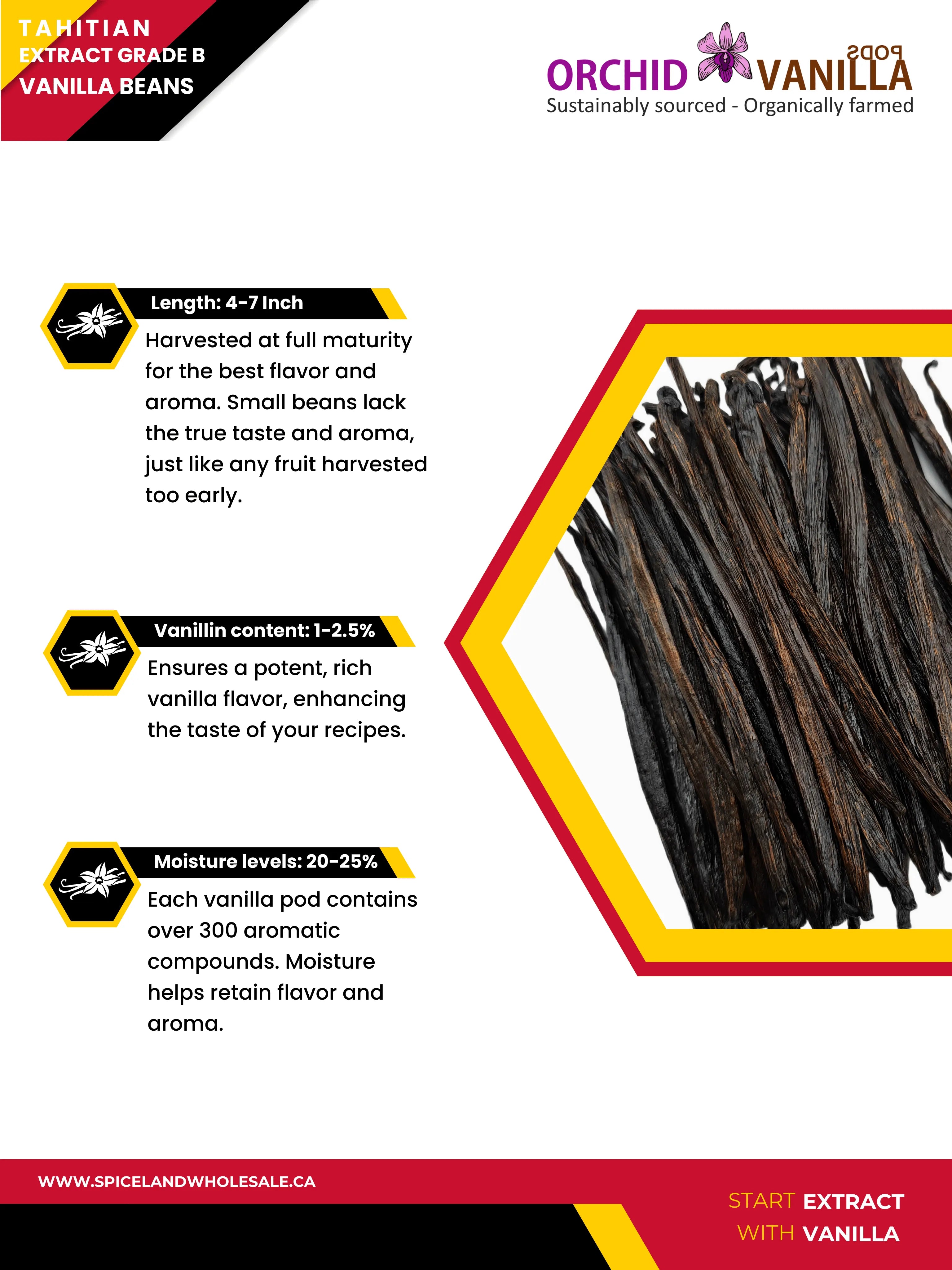Tahitian Extract Vanilla Beans Grade-B <br>For Extract Making<BR>By Ounce