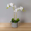 Tampico Faux Potted Orchid Floral Arrangement 24 Inches