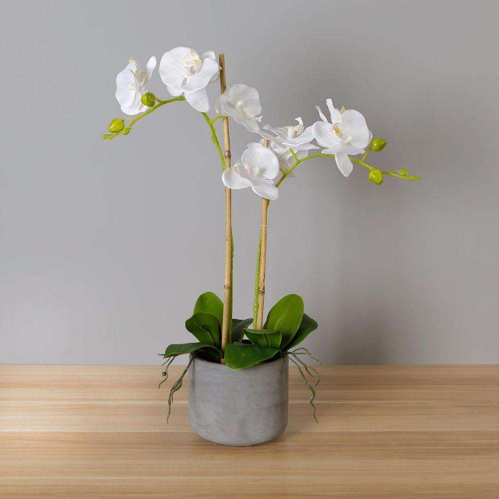 Tampico Faux Potted Orchid Floral Arrangement 24 Inches