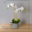 Tampico Faux Potted Orchid Floral Arrangement 24 Inches