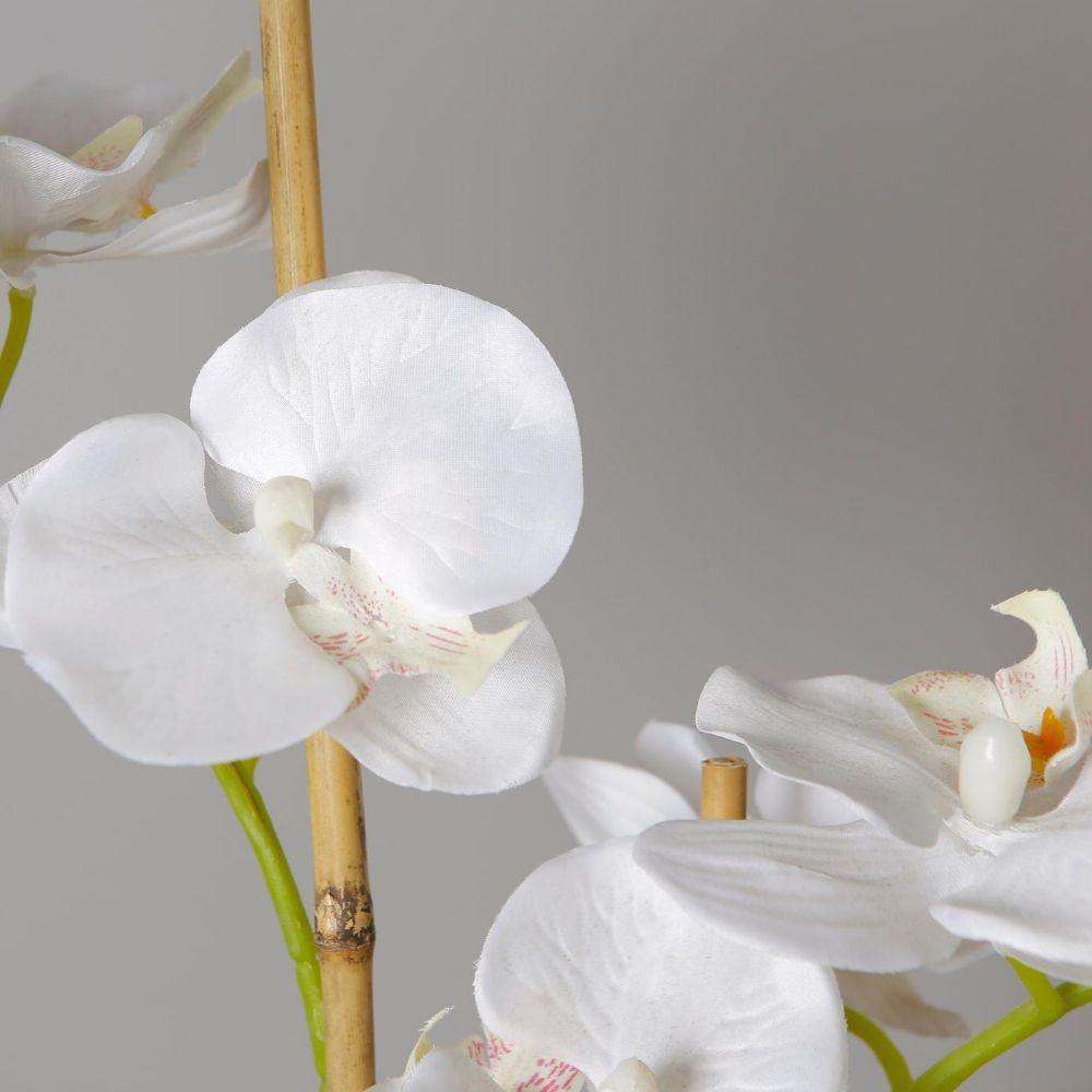 Tampico Faux Potted Orchid Floral Arrangement 24 Inches