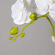 Tampico Faux Potted Orchid Floral Arrangement 24 Inches