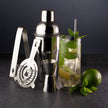 Taylor's Eye Witness - Ensemble à cocktails 5 pièces en acier inoxydable