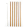 Taylor's Eye Witness - 6Pcs Stainless Steelstraws With Cleaner - 6Xstraight 21.5Cm Rose Gold
