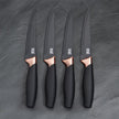Taylor's Eye Witness - Brooklyn 4Pc Steak Knife Set - Copper Bolster