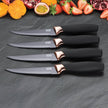 Taylor's Eye Witness - Brooklyn 4Pc Steak Knife Set - Copper Bolster