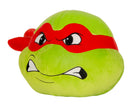 Teenage Mutant Ninja Turtles - 16