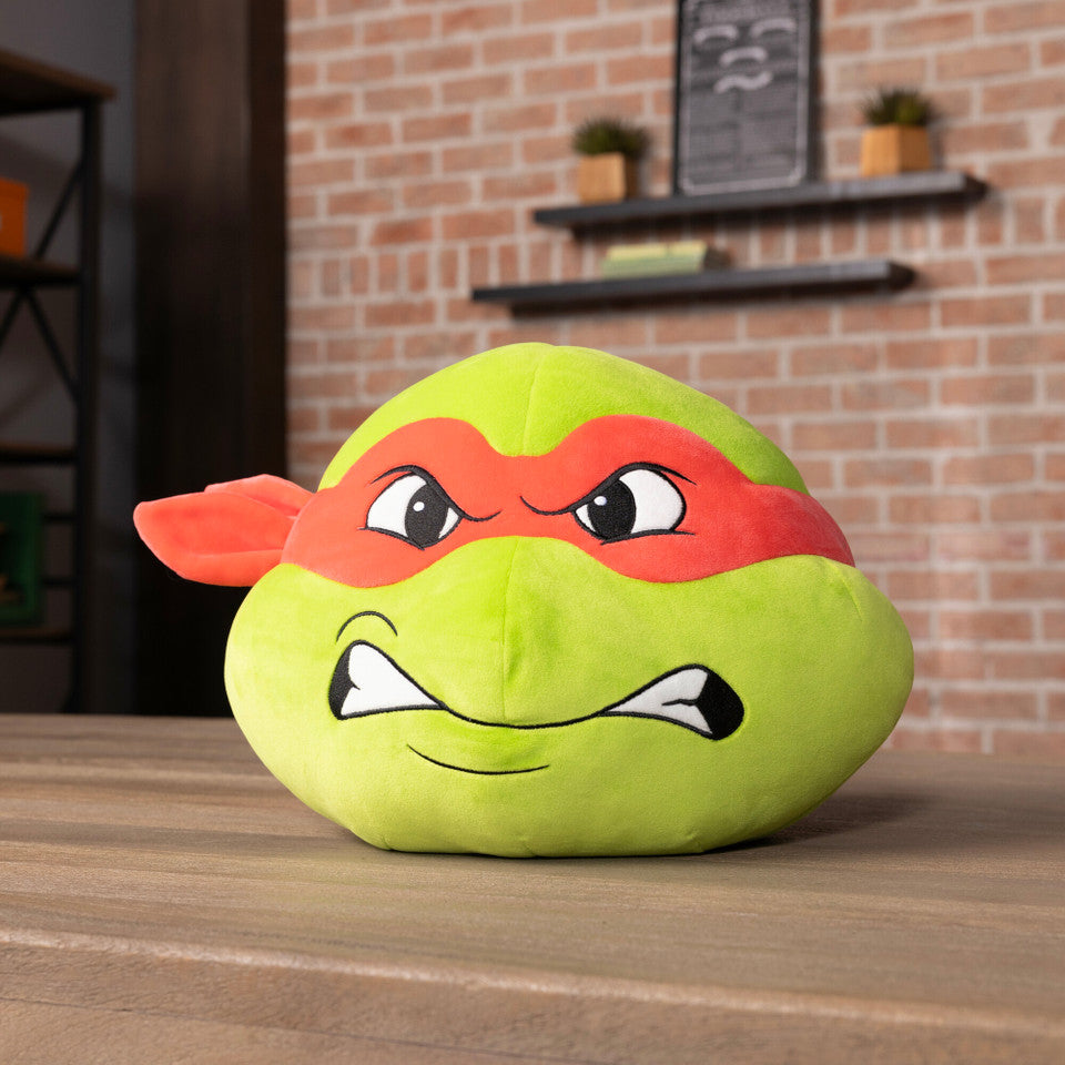 Teenage Mutant Ninja Turtles - 16