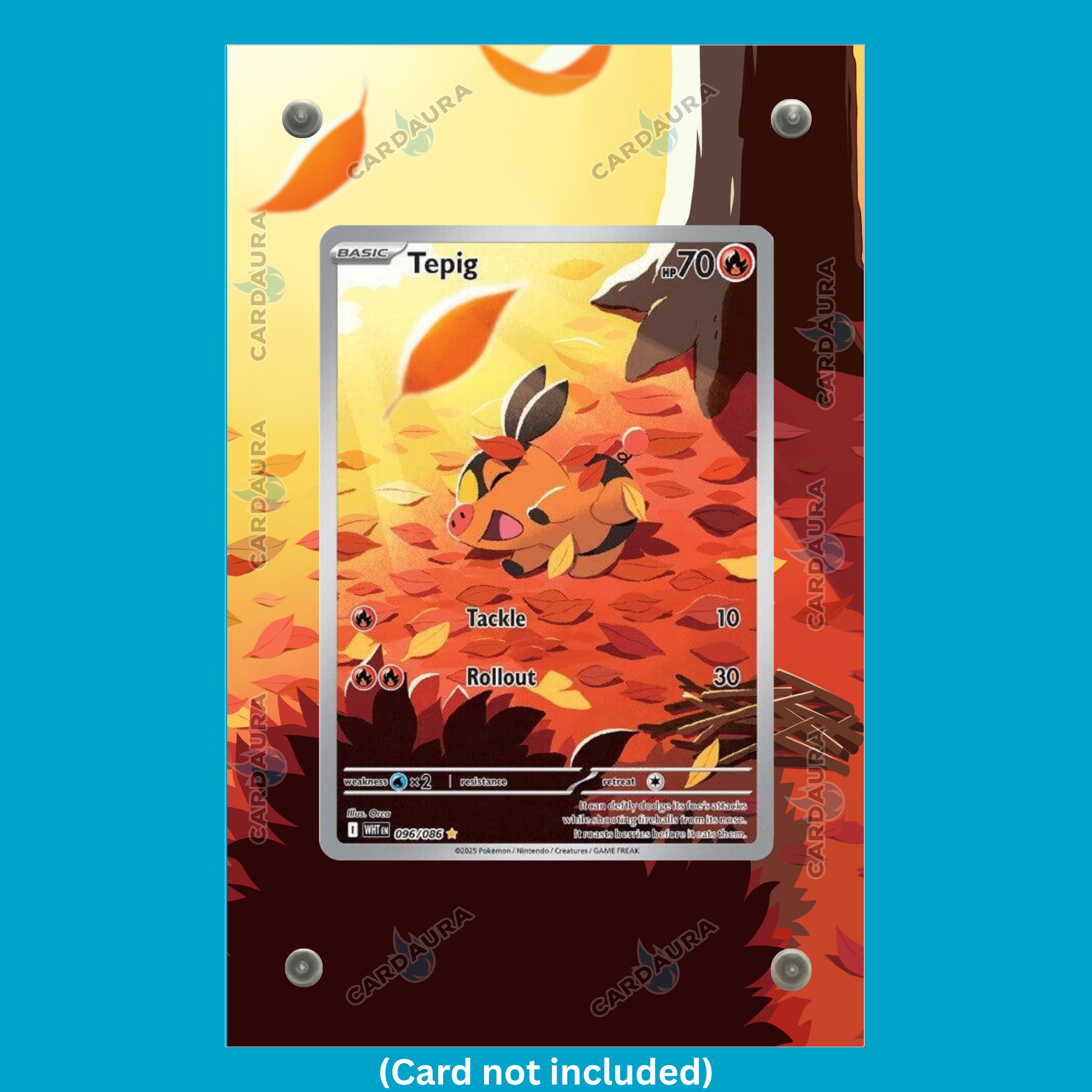 Tepig 096/086 White Flare (Ungraded) Display Case
