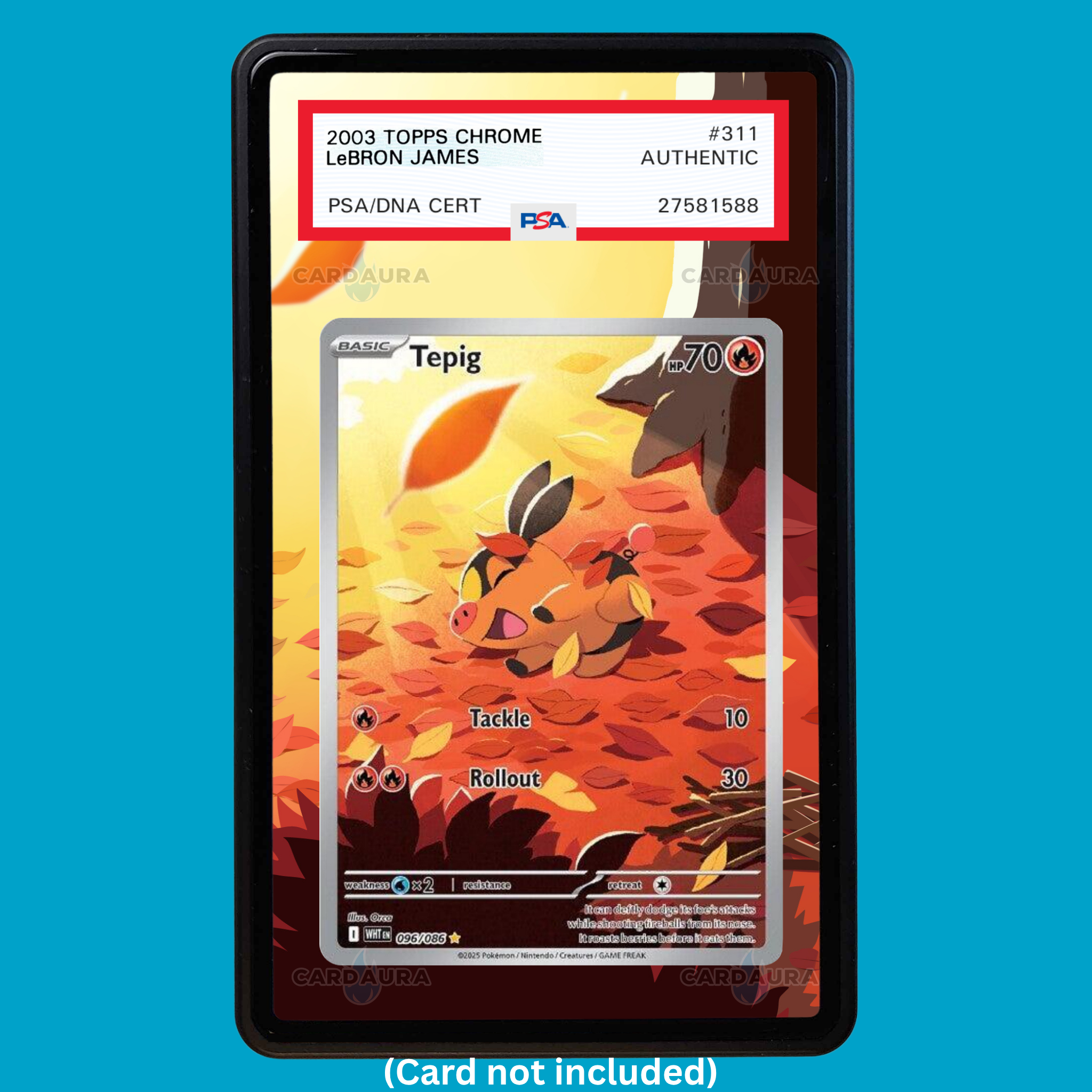 Tepig 096/086 White Flare (Graded) Display Case