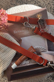 On-the-go Leash in Chestnut